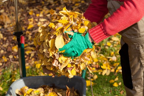 Queens Park domestic skip ready for hire