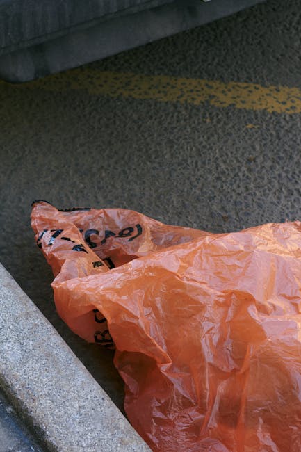 A black wheelie bin with a white label and the words 'ST. JOHN'S' printed on the front, positioned on a paved sidewalk next to the curb on a quiet residential street at night. The bin's lid is open, r